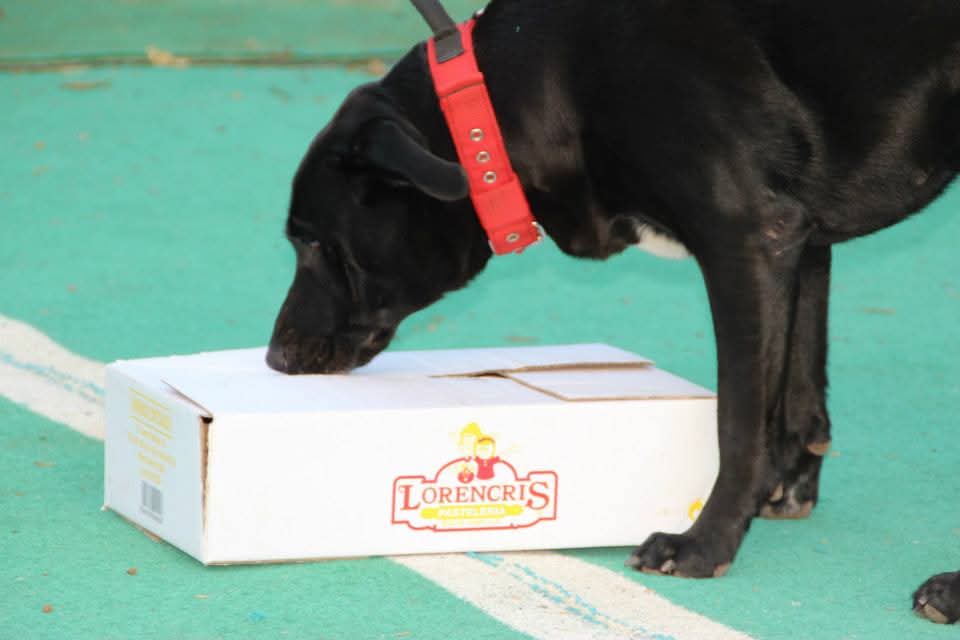 FB_IMG_1740313585387