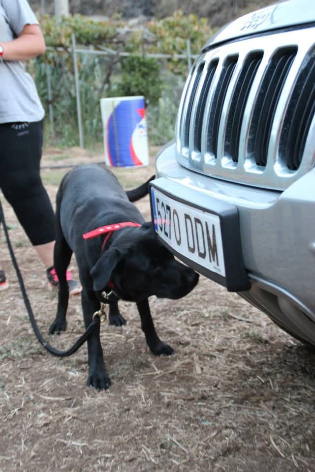 FB_IMG_1740313614173